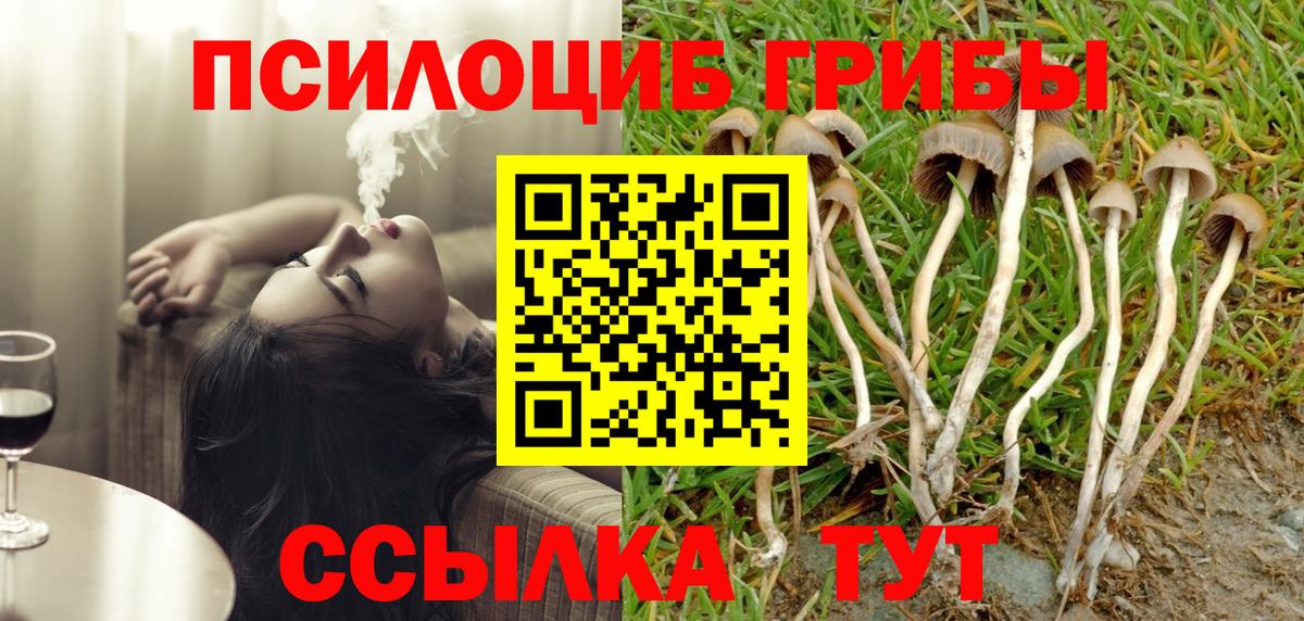 Галлюциногенные грибы GOLDEN TEACHER Белгород